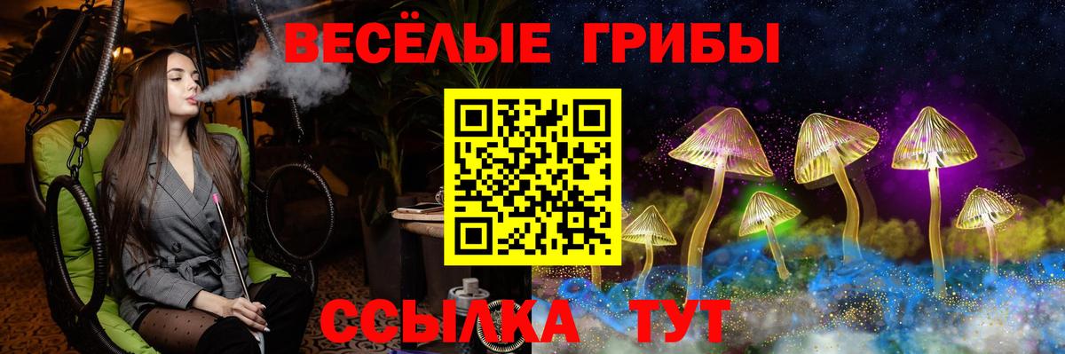 Галлюциногенные грибы ЛСД  Вход с VPN  цена наркотик  Тихвин  Псилоцибиновые грибы Psilocybe 